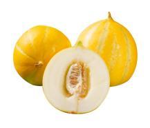 吃甜如蜜瓜视频,一场视觉与味觉的双重盛宴