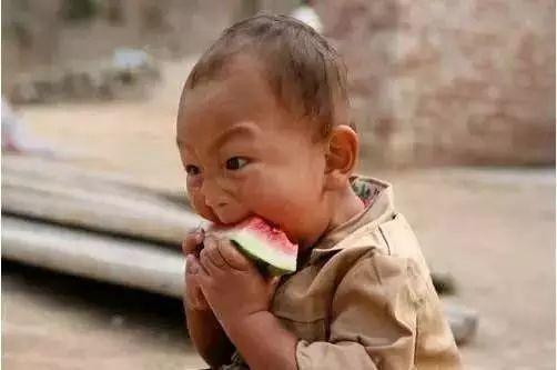 呆萌吃瓜小伙儿视频,揭秘娱乐圈幕后趣事