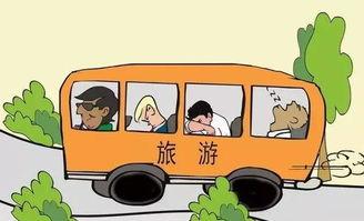 带你吃瓜奇葩巴士视频,带你领略“吃瓜”界的奇葩风采