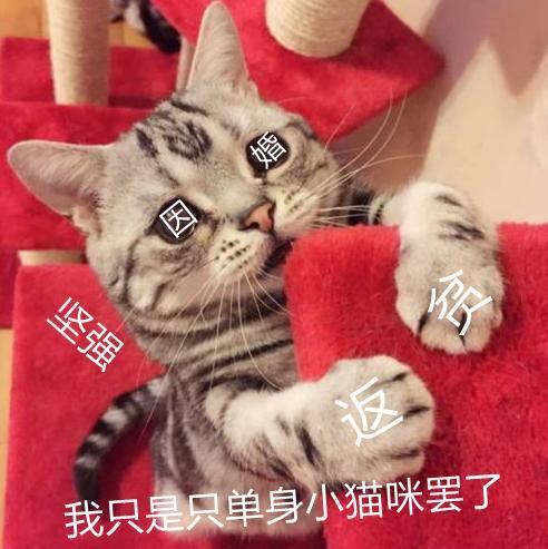 吃咸瓜的可怜视频大全,盘点那些令人心疼的吃瓜瞬间