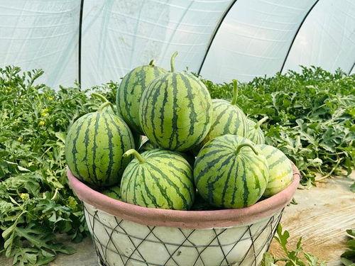 网爆吃瓜视频一区二区三区四区,一区二区三区四区精彩内容大汇总