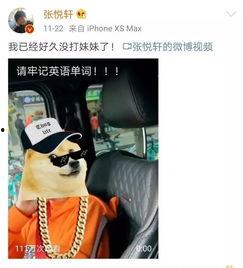 网络男神吃瓜视频下载,揭秘娱乐圈幕后真相